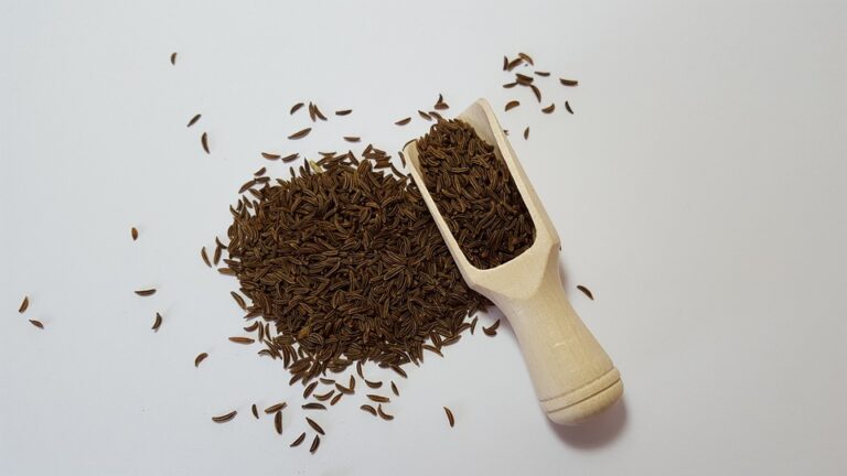 Caraway Side Effects, Uses, And More..