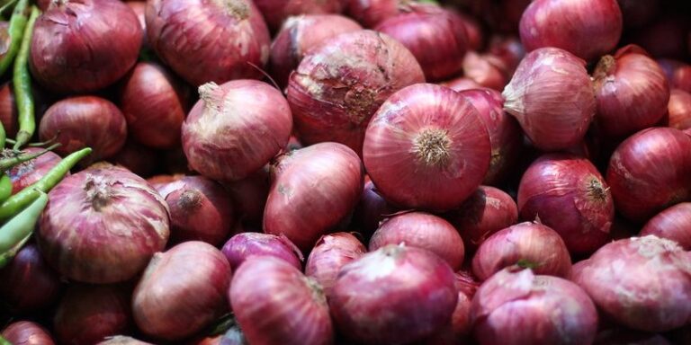 Onion Export Ban: प्याज एक्सपोर्ट बैन जारी रहने के बाद क्या करेंगे किसान, कैसे बचेगी खेती?