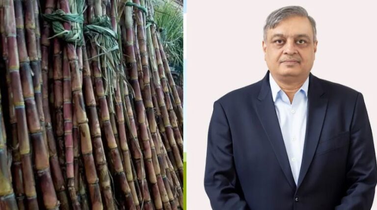 गन्ना किसानों के लिए बड़ी खुशखबरी, Sugarcane विशेषज्ञ ने बताया ट्रिपल मुनाफे का फंडा