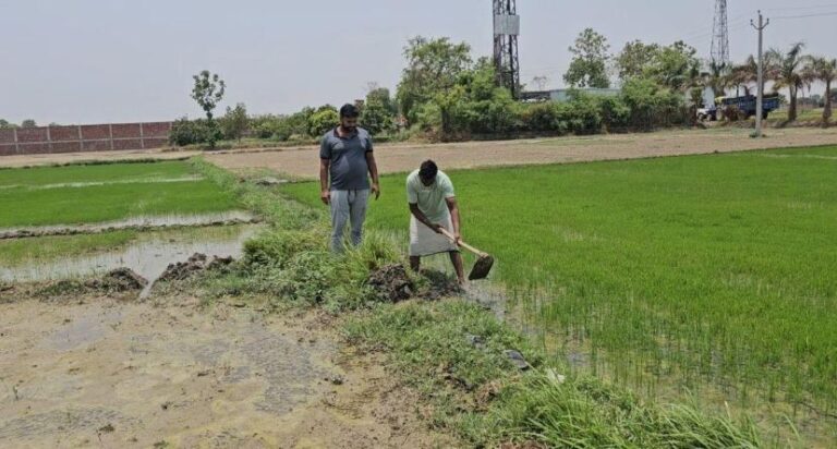 जानिए, खरीफ की फसलों पर MSP में वृद्धि के फैसले को लेकर यूपी के किसानो नें क्या कहा!