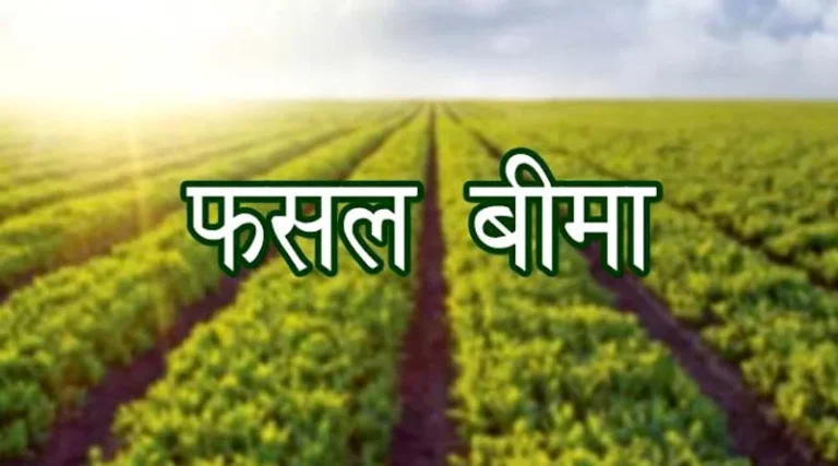 Crop Insurance : यूपी में खरीफ फसलों का बीमा कराने का आखिरी मौका, मोटे अनाज भी फसल बीमा में शामिल