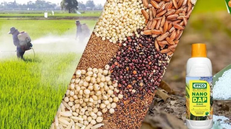 Seeds Distribution : छत्तीसगढ़ सरकार हुई नकली खाद बीज के वितरण पर सख्त, पर्याप्त उपलब्धता का दिया भरोसा