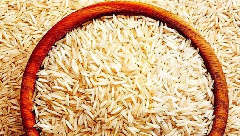 Rice Export: चावल एक्सपोर्ट पर बड़ा फैसला ले सकती है सरकार, क्या कम होगा बासमती का एमईपी?