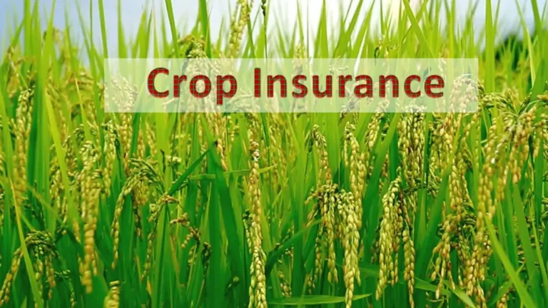 Top 10 Benefits of Crop Insurance for Farmers